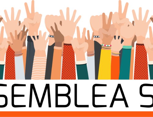 ASSEMBLEA DEI SOCI SOLIDEA